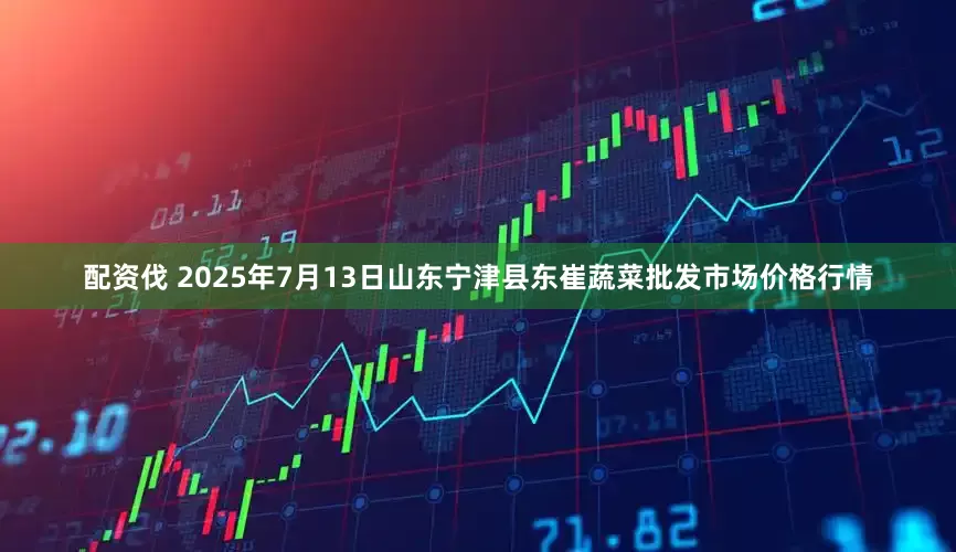 配资伐 2025年7月13日山东宁津县东崔蔬菜批发市场价格行情