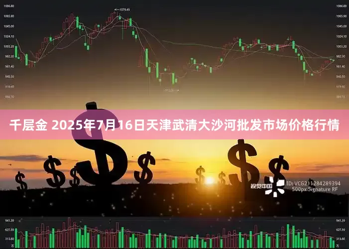 千层金 2025年7月16日天津武清大沙河批发市场价格行情
