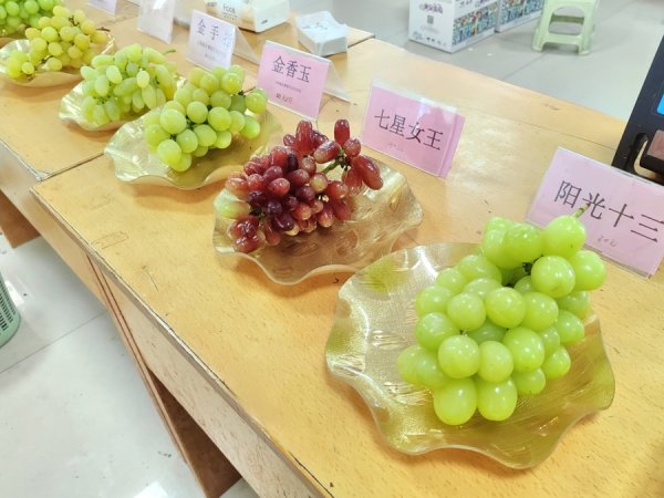 达麟操盘 从“葡萄大王”卢玉金手中，抢一口施泉葡萄的盛夏鲜