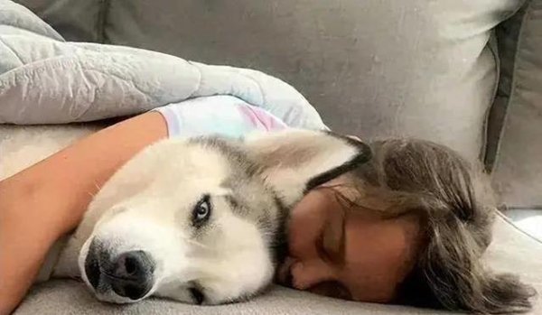 富途证券 狗狗夜里挤上床，找温暖还是安全感？真相让人暖心