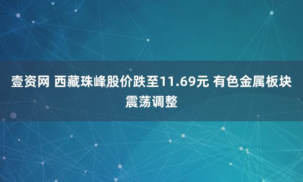 壹资网 西藏珠峰股价跌至11.69元 有色金属板块震荡调整