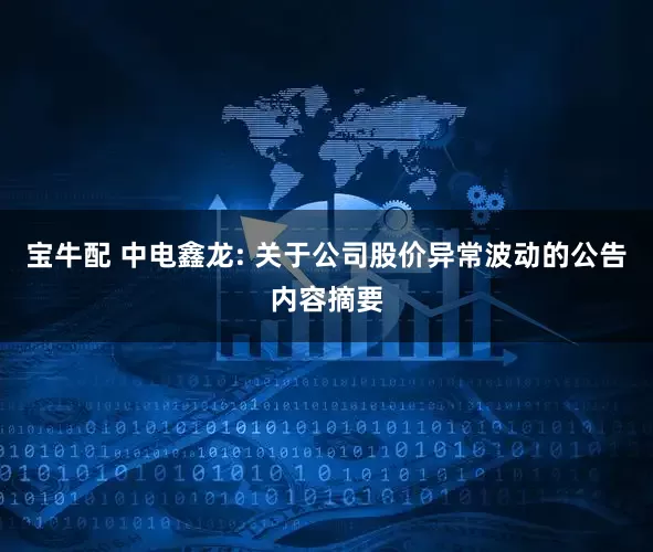 宝牛配 中电鑫龙: 关于公司股价异常波动的公告内容摘要