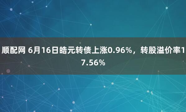 顺配网 6月16日皓元转债上涨0.96%，转股溢价率17.56%